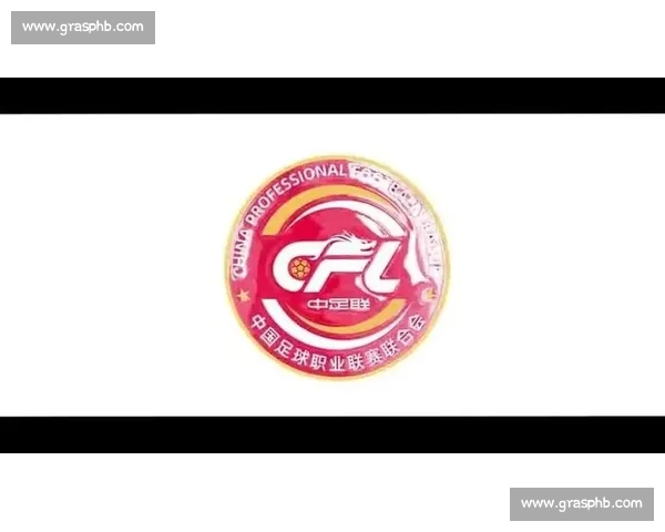 中足联宣委会成立:共筑联赛传播新平台 中足联宣委会成立:共筑联赛传播新平台